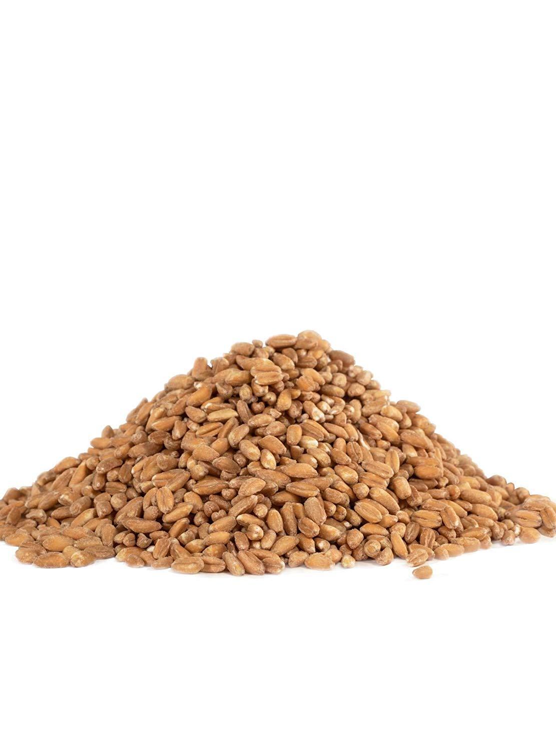 imageBobs Red Mill Organic Farro Grain 24oz Pack of 4 Non GMO Vegan Kosher24 Ounce Pack of 4