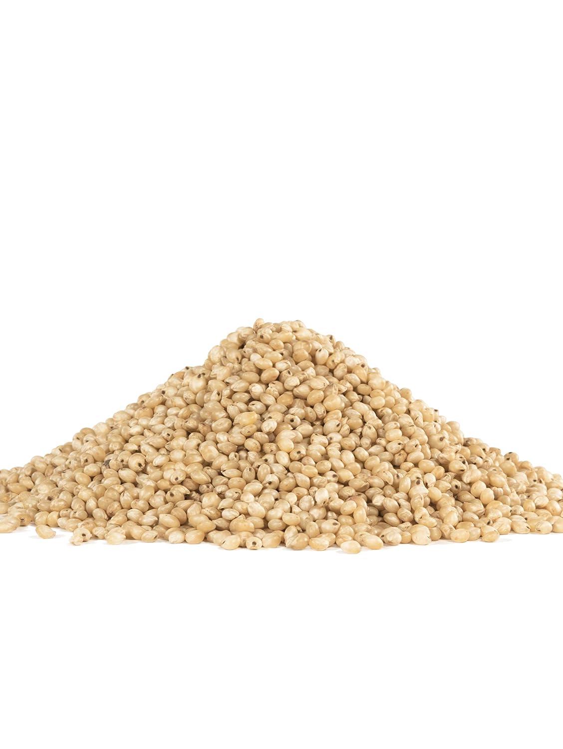 imageBobs Red Mill Sorghum Grain 24oz Pack of 4 Whole Grain Vegan KosherWhite Sorghum Grain