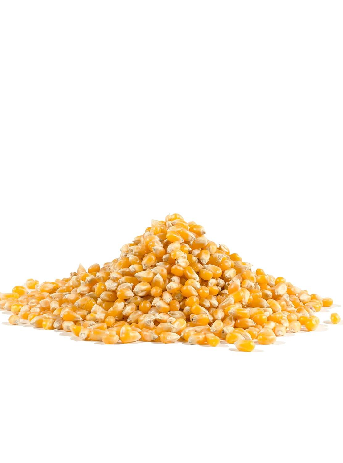 imageBobs Red Mill Yellow Popcorn 30oz Pack of 4 Non GMO Whole Grain Vegan Kosher30ounce Pack of 4